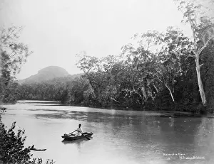 British Colony Prints: Maroochy River, 1894. Creator: Poul C Poulsen