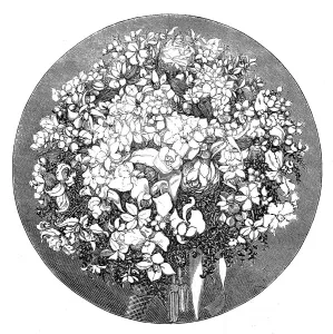 Dss Of Argyll Prints: Marriage of Princess Louise: the Bride's Bouquet, 1871. Creator: Unknown