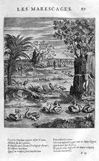 Jaspar De Isac Gallery: Marsh, 1615. Artist: Leonard Gaultier