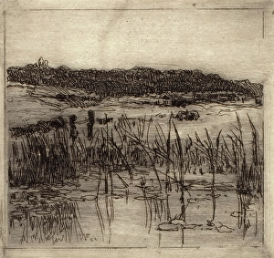 Lily Pad Prints: Marsh, c1880-1900. Creator: William Forsyth