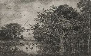 1817 1878 Prints: The Marsh with Storks, c. 1851. Creator: Charles Francois Daubigny (French, 1817-1878)