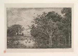 Charles Francois Daubigny Collection: The Marshes, 1851. Creator: Charles Francois Daubigny