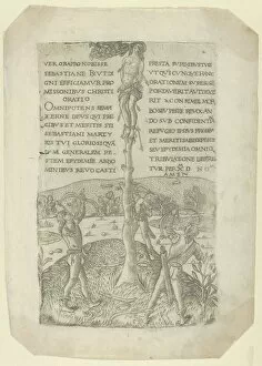 Tree Trunk Gallery: The Martyrdom of Saint Sebastian, with three archers, ca. 1480-90. ca. 1480-90. Creator: Anon