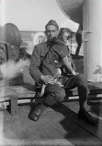 Mascot Prints: Mascot-- 11th Eng. between c1915 and c1920. Creator: Bain News Service