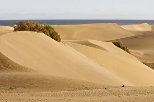 Gran Canaria Prints: Maspalomas sand dunes, Gran Canaria, Canary Islands, Spain