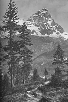 The Matterhorn Prints: The Matterhorn From the Italian Side, Forest of Brueil, 1917. Artist: Donald McLeish