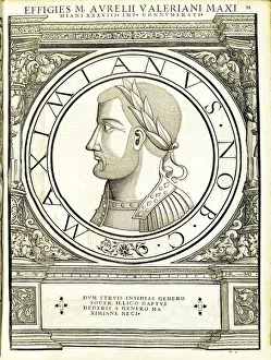 Maximianus (250 - 310 AD), 1559