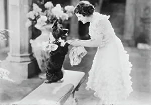 Silent Film Prints: May MacAvoy, between c1915 and c1920. Creator: Bain News Service