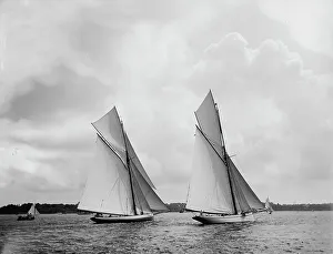 Yacht Race Prints: Mayflower and Galatea, the start, 1886 Sept 7. Creator: Johns Johnston