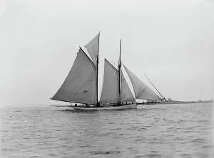 Burgess Edward Prints: Mayflower, July 15, 1889, 1889 July 15. Creator: Unknown