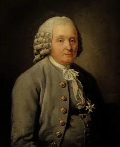 Respectable Prints: Mayor Jonas Robeck, 1777. Creator: Jonas Hoffman