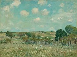 Meadow Gallery: Meadow, 1875. Creator: Alfred Sisley