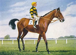 Wd Ho Prints: Meadow, Jockey: T. Weston, 1939