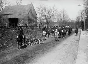 Hunting Dogs Prints: Meadowbrook Hunt, 1912. Creator: Bain News Service