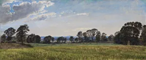 Meadows Prints: Meadows at Dortheaslyst, 1871-1875. Creator: Peter Christian Thamsen Skovgaard