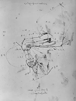 Measured Drawing of the Near Fore-Leg of a Horse, c1480 (1945). Artist: Leonardo da Vinci Measured Drawing of the Near Fore-Leg of a Horse, c1480 (1945). Artist: Leonardo da Vinci