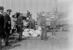Meat for NEW YORK, between c1910 and c1915. Creator: Bain News Service