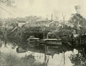 Slaughterhouse Prints: Meat Works, near Grafton, New South Wales, 1901. Creator: Unknown