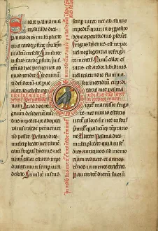 Bestiary Prints: A Medallion with a Turtle Dove; De Natura Avium; De Pastoribus et Ovibus; Bestiarium