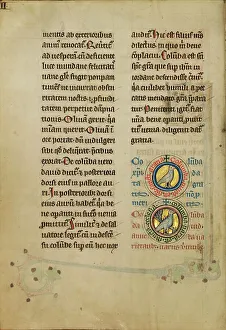Bestiary Prints: Two Medallions with Doves; De Natura Avium; De Pastoribus et Ovibus