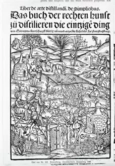 Medicinarius. Das buch der Gesundheit. Liber de arte distillandi Simplicia et Composita, 1505