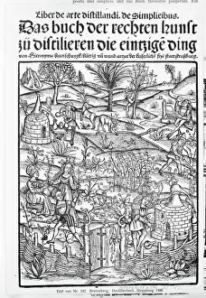 Pharmacy Prints: Medicinarius. Das buch der Gesundheit