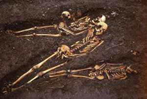 Medieval burial site, Ebor Brewery, York, 20th century. Artist: CM Dixon