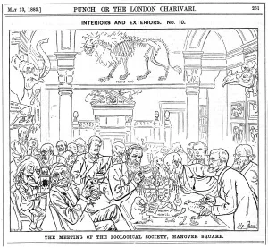The Meeting of the (Royal) Zoological Society, Hanover Square, London, 1885 The Meeting of the (Royal) Zoological Society, Hanover Square, London, 1885