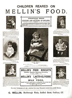 Endorsement Prints: Mellin's (children's) Food, 1891. Creator: Unknown