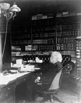 Chief Justice Prints: Melville Weston Fuller, full-length portrait