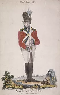 Battalion Gallery: Member of the battalion in the Bank Volunteers, holding a rifle with a bayonet attached, 1799