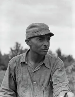 Cooperative Prints: Member of the Delta cooperative farm at Hillhouse