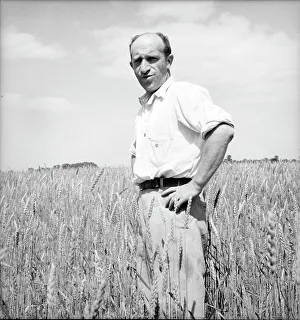 Wheatfield Prints: Member of the Hightstown farm group says: Who says Jews can't farm? Hightstown