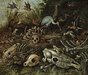 Skeletons Prints: Memento mori, between 1600 and 1609. Creator: Roelandt Savery