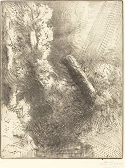 Memories of Fountainebleau in the Rain (Souvenir de Fountainebleau (Effet de pluie))