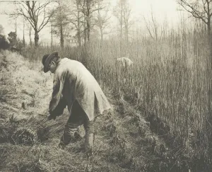Building Materials Prints: Men cutting rushes, 1892. Creator: James Leon Williams