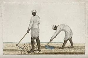 Bending Prints: Two men digging the earth with spades, (between 1800 and 1899?). Creator: Unknown
