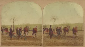 Stereoscopy Prints: Two men in field with an agricultural machine hooked up to a team of horses