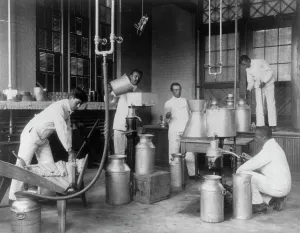 Training College Prints: Five men making butter in a class at Hampton Institute