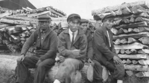 Logs Prints: Men sitting on logs, between c1900 and 1916. Creator: Unknown