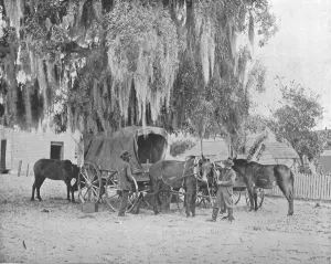 San Antonio Prints: A Merchant from San Antonio, Texas, USA, c1900. Creator: Unknown