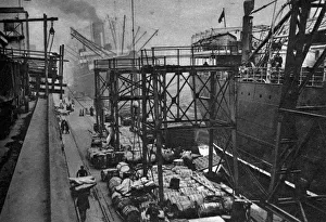 Pulley Prints: Merchant ships in the Royal Albert Dock, London, 1926-1927