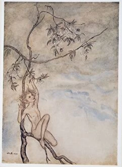 1926 Gallery: Merrily, merrily shall I live now under the blossom that hangs on the bough, illustration