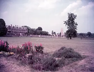 University Prints: Merton College and chapel from Christchurch Meadows