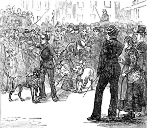 Rivals Prints: Metropolitan Boroughs election sketches: Whig and Tory, 1874. Creator: Unknown