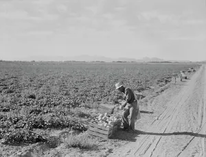 Mexican cantaloupe worker at 5:00 am, Imperial Valley, California, 1938. Creator: Dorothea Lange