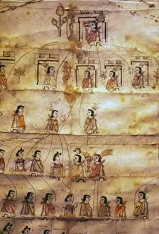 Family Tree Gallery: Mexican Codex From Central Mexico, showing family tree of Izatzcantzin