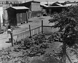 Shack Prints: Mexican field laborers houses, Brawley