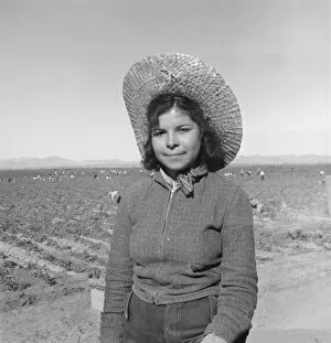 Mexican girl who picks peas for the eastern market, Imperial Valley, California, 1939. Creator: Dorothea Lange