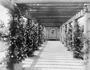 Pergola Prints: Mi Suen~o, Herbert Coppell house